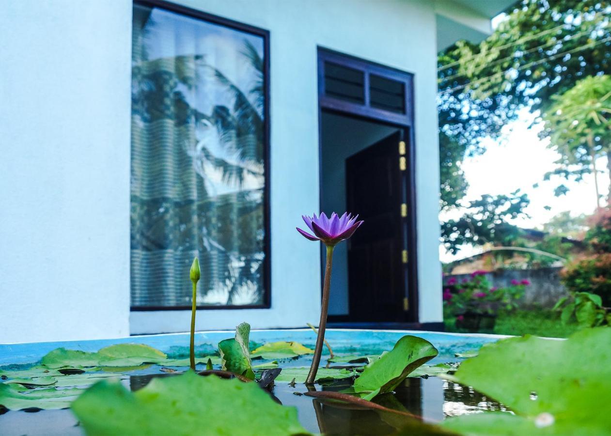 Plantation Inn Weligama Luaran gambar