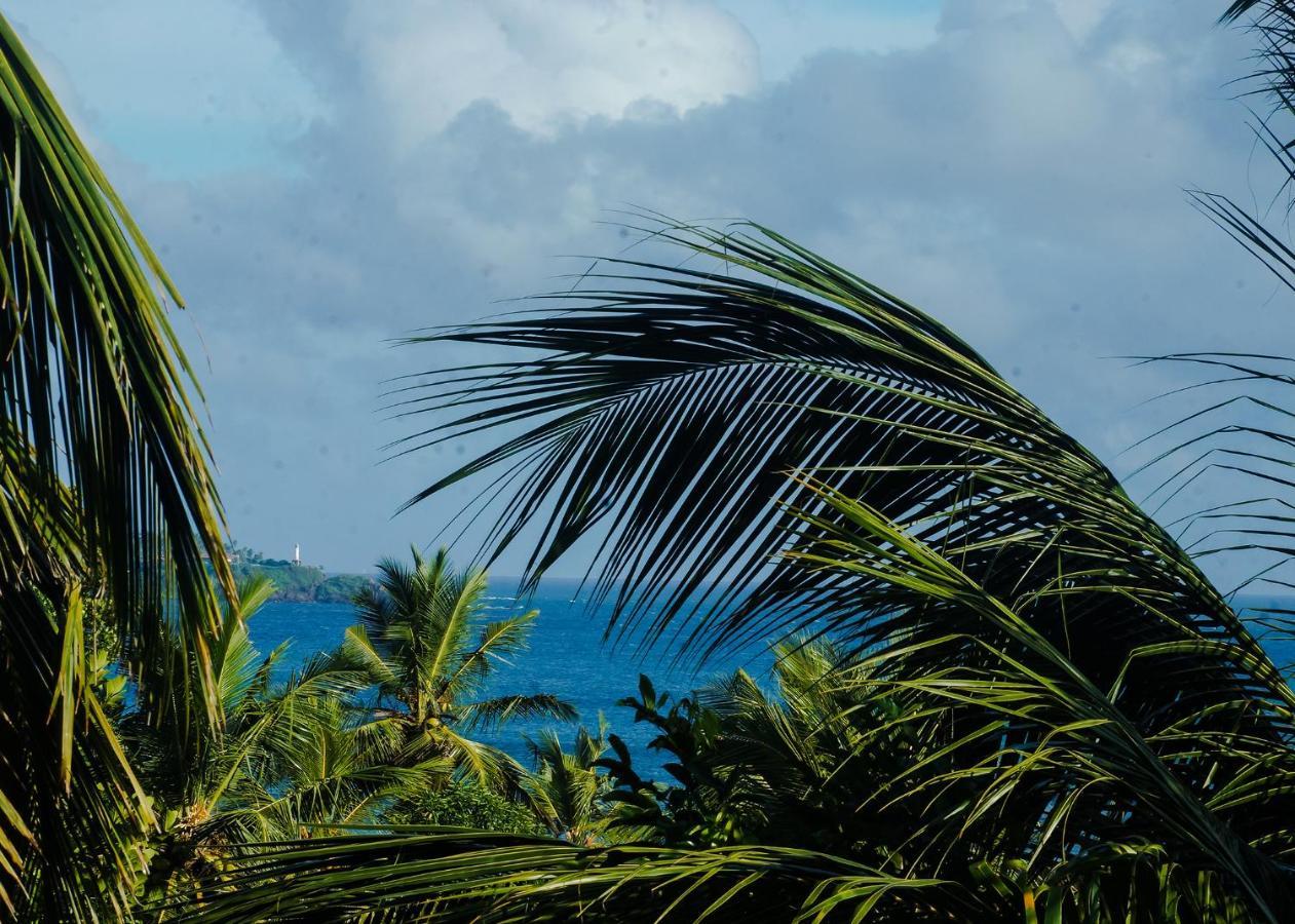 Plantation Inn Weligama Luaran gambar
