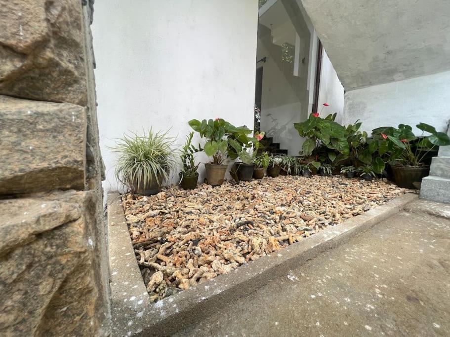 Plantation Inn Weligama Luaran gambar